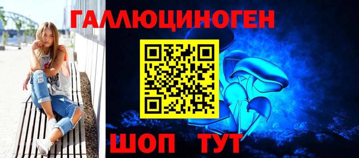 Псилоцибиновые грибы Cubensis Бахчисарай