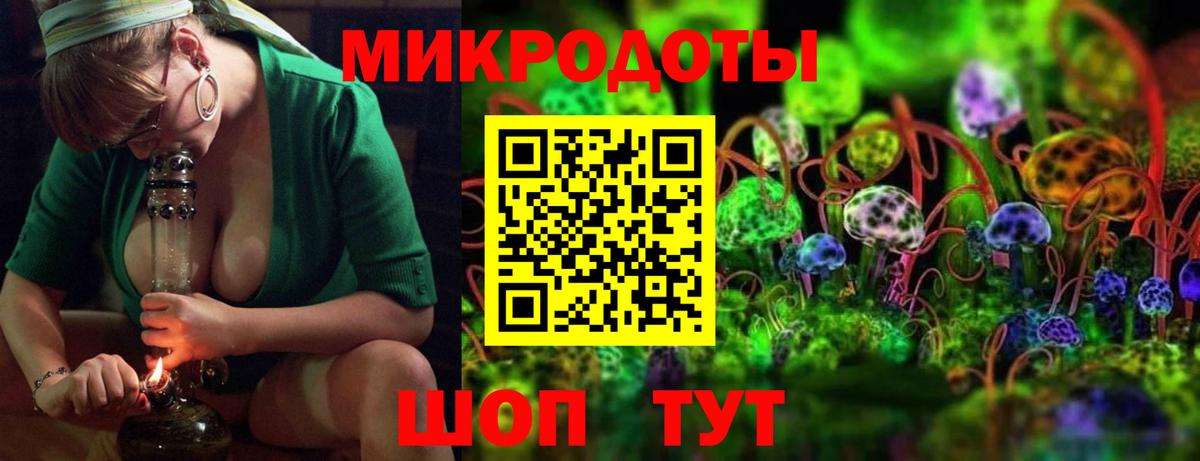 Псилоцибиновые грибы Psilocybine cubensis  Вход с VPN  Бахчисарай 